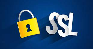 SSL: an  Overview