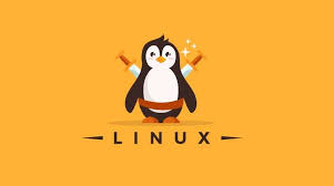 Linux : an overview