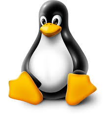 Linux Administrator Basic Commands